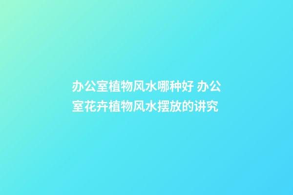 办公室植物风水哪种好 办公室花卉植物风水摆放的讲究